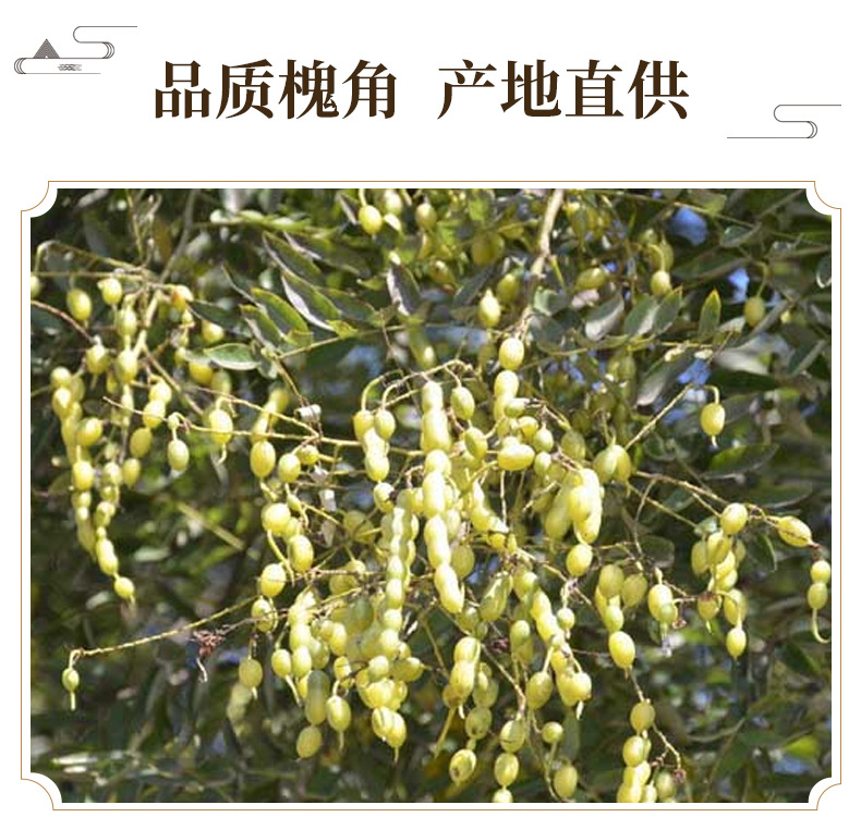 Dried Huai Jiao Sophora Fruit 500g Natural Sun Dried Chinese Herbal Ingredient for Decoction and Culinary Use key features
