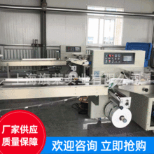 现货供应干冰包装机 食品干冰全自动包装机 干冰包装设备