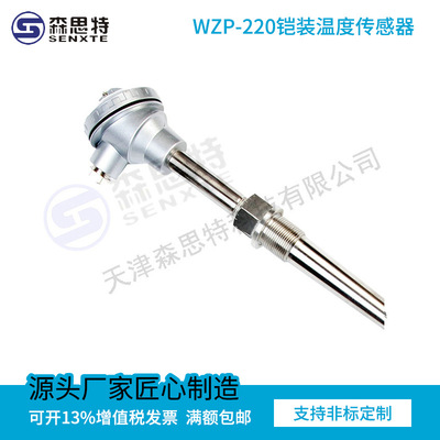 WZP-220铠装温度传感器定制温度传感器厂家直销量大从优