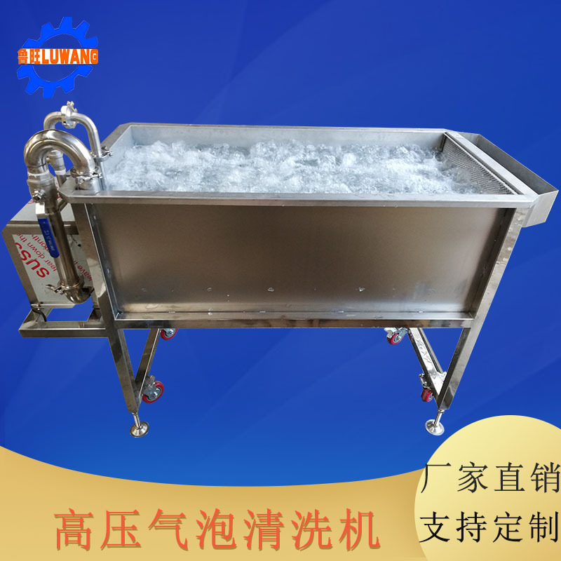 气泡翻浪式果蔬清洗机 全不锈钢大枣清洗机 全自动番茄清洗机