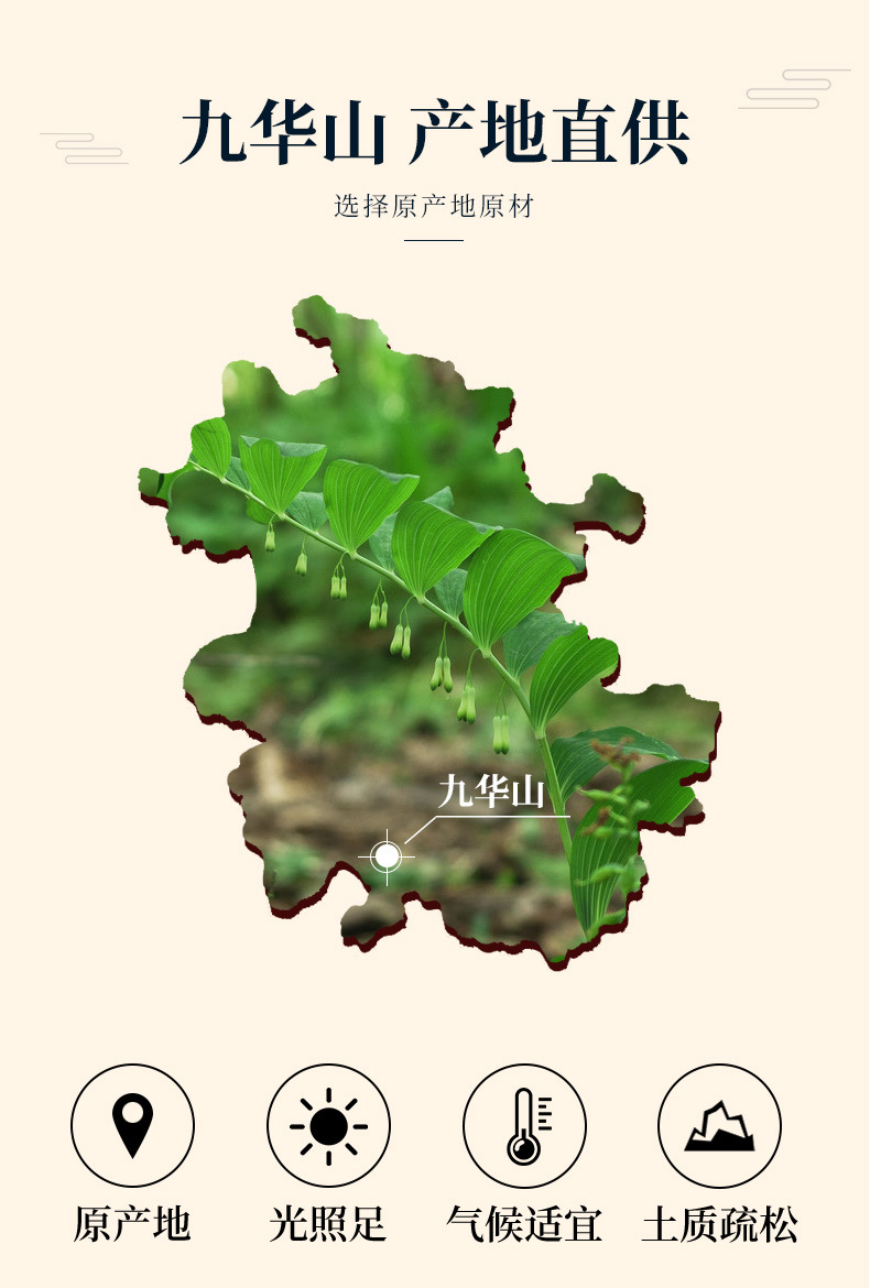Prepared Huang Jing Slices (Polygonatum sibiricum) — Nine-Steam-Nine-Sun Dried Food Herb for Soup overview