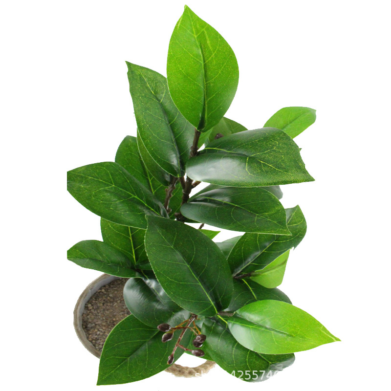 XRB-211 红花油茶叶6叉枝立体5.jpg