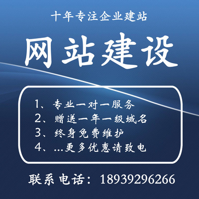 网站建设 企业网站定制 送域名空间 百度优化|ru