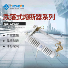 ABB�����  R-NCX-12/100A-12.5KA NCX-10/100A����ʽ�۔���