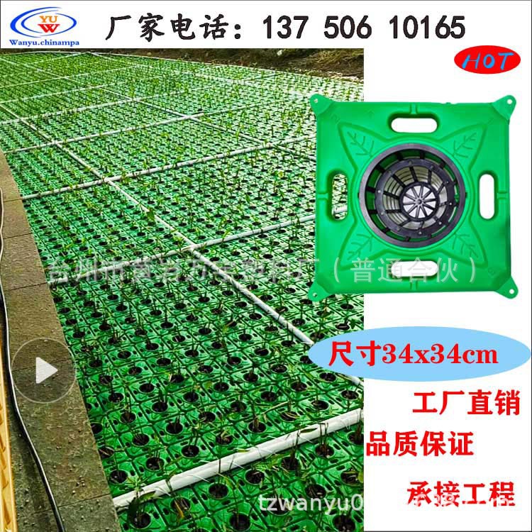 水上生态浮床河道治理浮床浮岛水质净化浮板污水处理浮岛水上种花