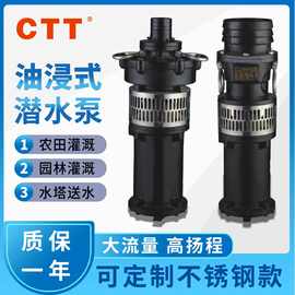 4kw潜水泵参数 QY25-38/2-4型喷泉泵  4kwQY系列潜水喷泉泵