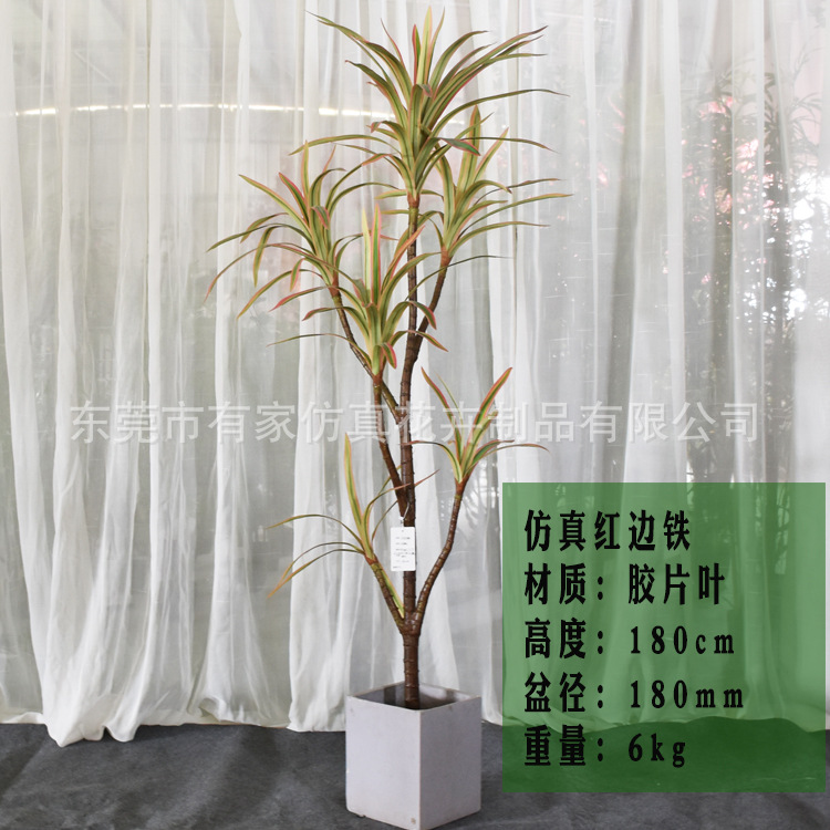 Decoración suave para árbol de hierro de sangre de dragón artificial Nórdico madera brasileña falsa decoración de maceta artificial planta tropical paisaje paisajismo