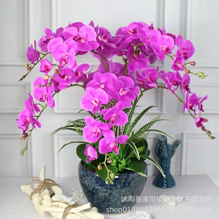 ΢��ͼƬ_20200121211021