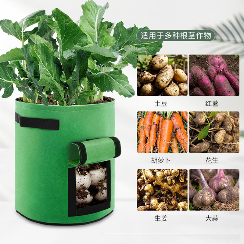 Manufactor Direct selling felt Botany Potato strawberry Non-woven fabric Botany support customized Cong