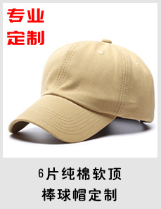 6片软顶