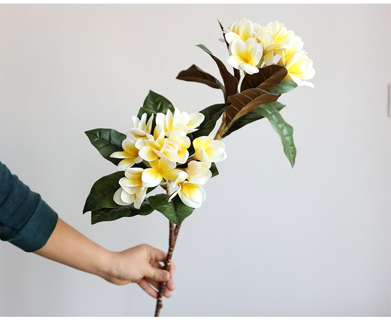 Plumeria 8.jpg