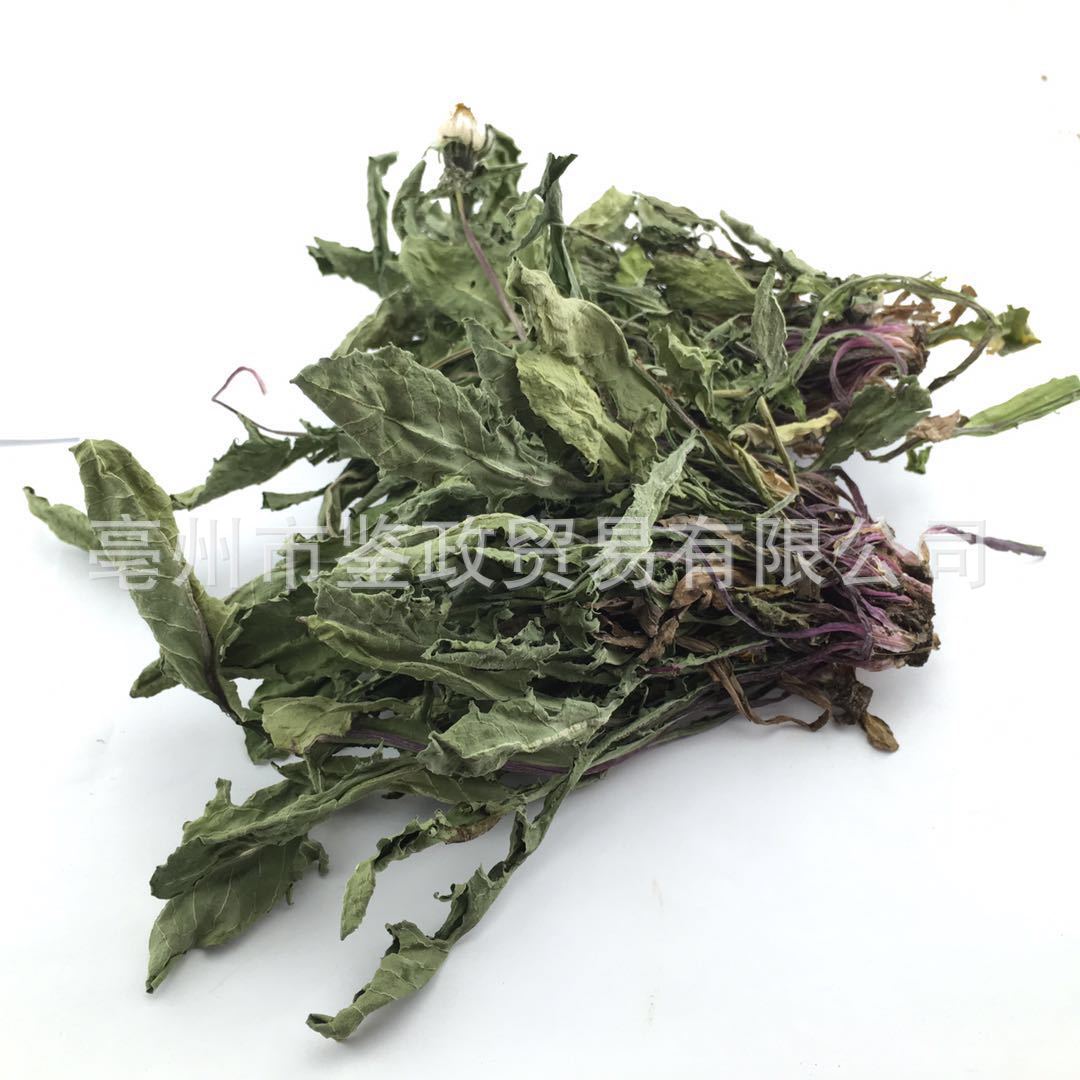 Dried Dandelion Herb Pu Gong Ying Whole Plant Sun Dried Traditional Herbal Tea Ingredient 500g specifications
