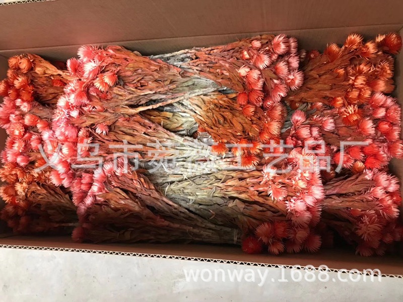 微信图片_20200410120040