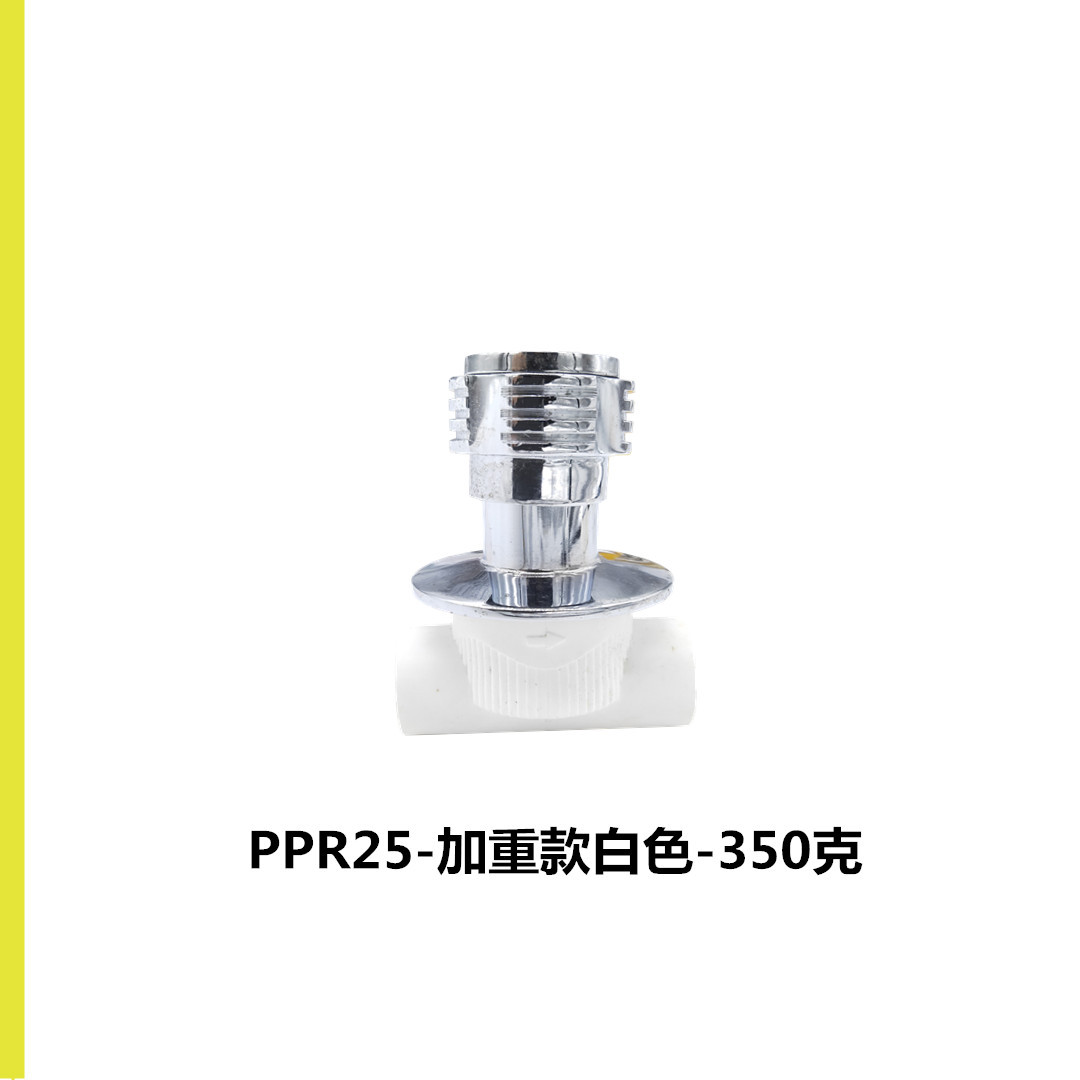 PPR-暗阀25白色
