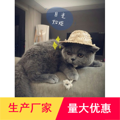 供应宠物用品/狗狗帽/墨西哥草帽1个起批宠物帽子夏威夷风情|ms