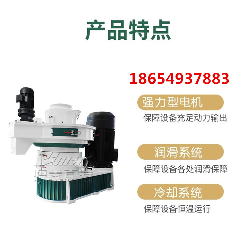 b_2803454202004201000079568_副本