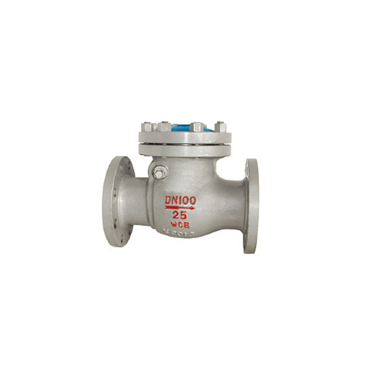 源头工厂 H44H-16C型铸钢旋启止回阀 摇板式止回阀