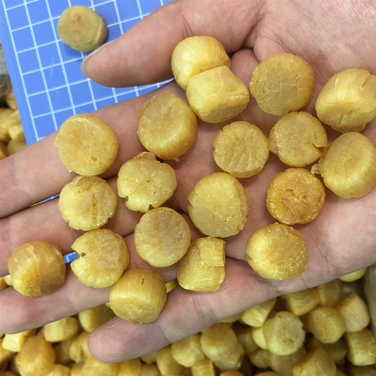 山东大连场地直销淡干生晒元贝干瑶柱海鲜干货量大价更优一包250g|ms