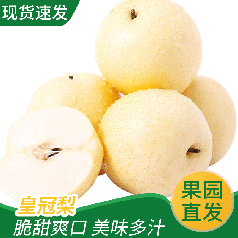 应季水果梨子皇冠梨35斤一件没有雨秀早期赵县 皇冠梨|ms