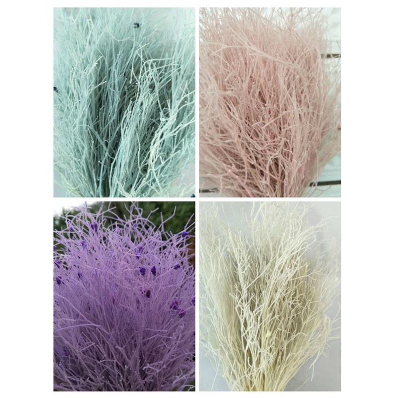 微信图片_20200424222831