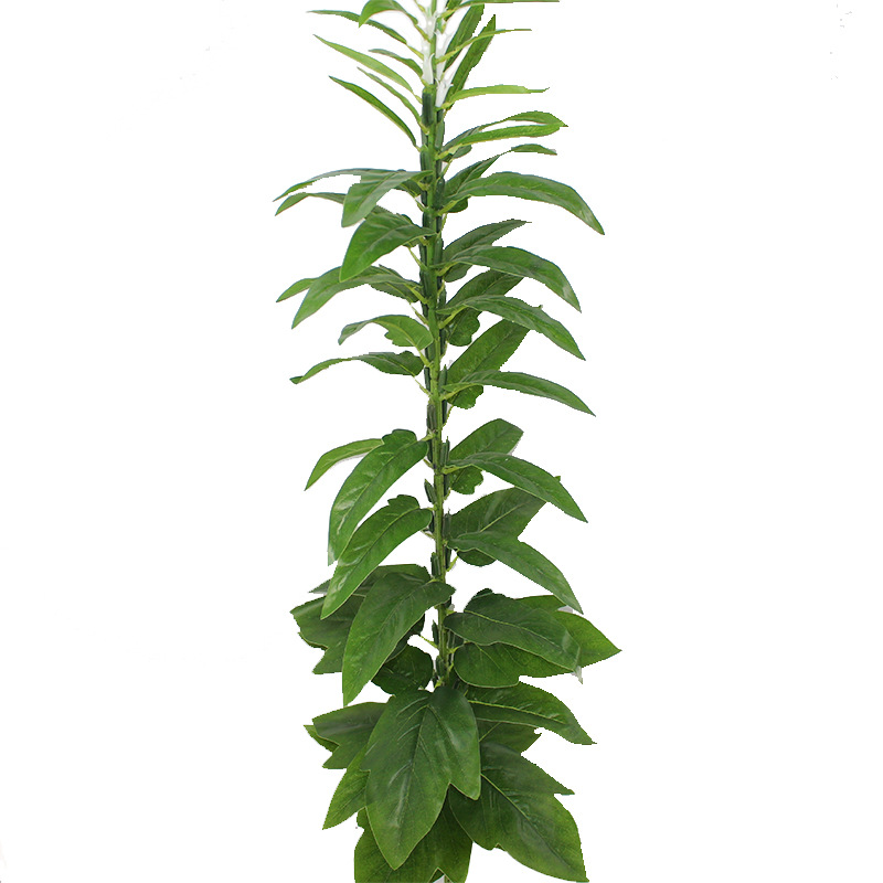 XRB-169 春色1 (5).jpg