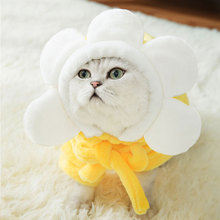 搞笑猫】_搞笑猫品牌/图片/价格_搞笑猫批发_阿里巴巴