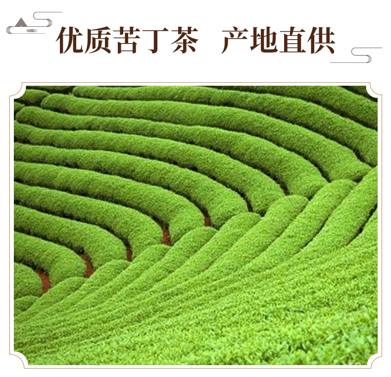 Ku Ding Tea Loose Leaf 500g Bitter Tea Ilex Kudingcha Traditional Herbal Drink key features