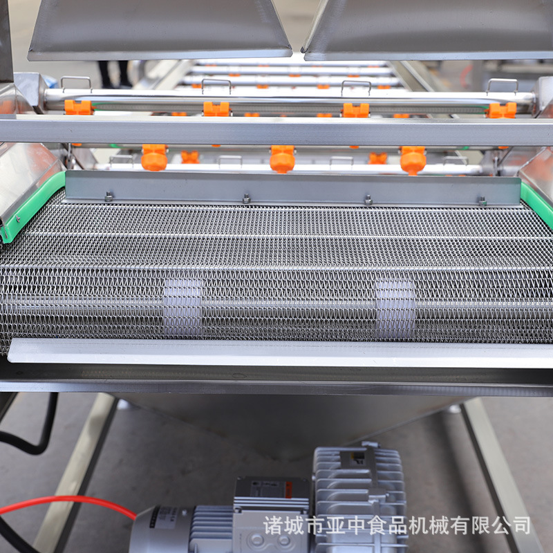 果蔬清洗机 气泡清洗机 全自动连续式洗菜中药清洗设备