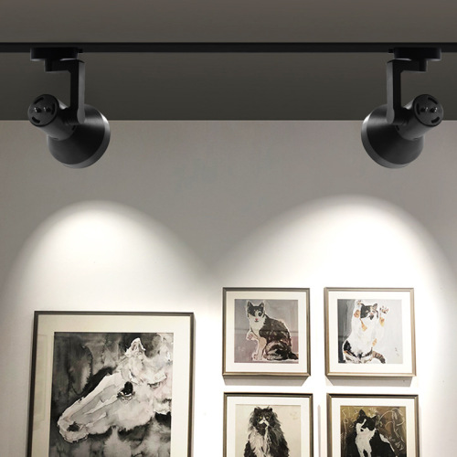 Museum fruit store art exhibition hall LED track lights, clothing store supermarket shop 40W PAR30 track spotlights