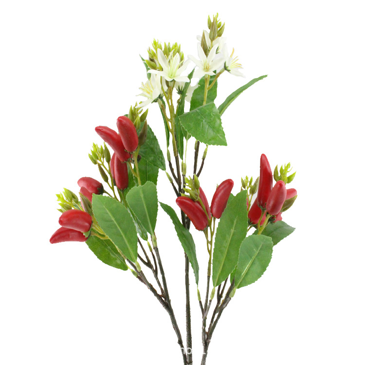 XRG-015 小米辣3叉枝18叶53厘米 (6).jpg