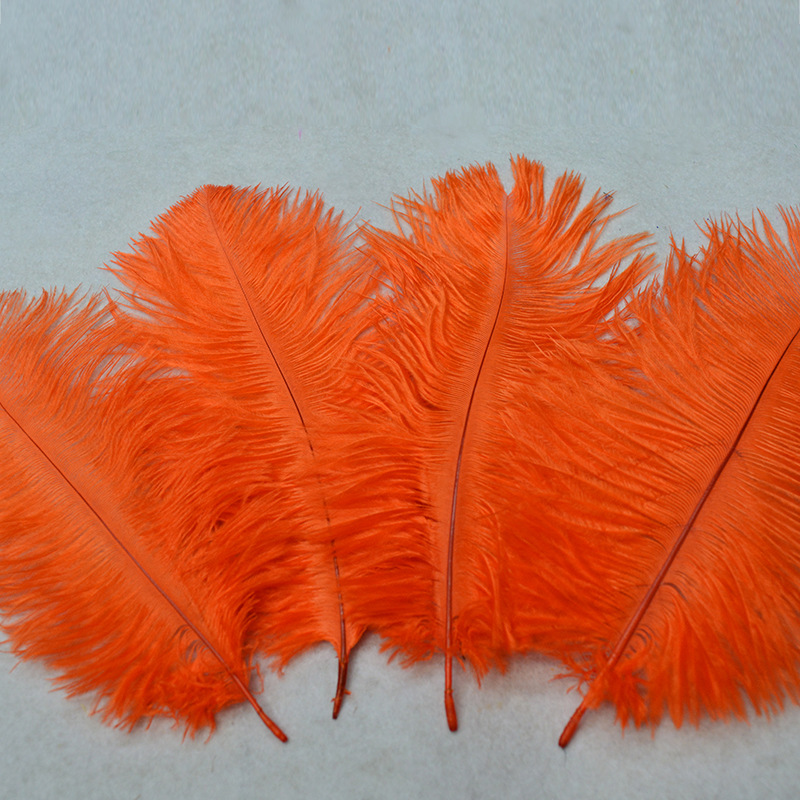 羽毛鸵鸟毛主图3