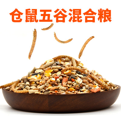 Hamsters Nutrition Grain foodstuff Little hamster staple food grain snacks Hamsters Food staple food grain Little hamster foodstuff