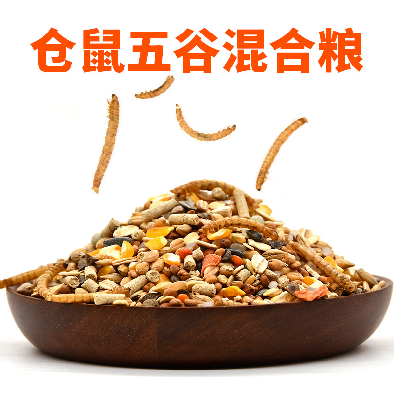 Hamsters Nutrition Grain foodstuff Little hamster staple food grain snacks Hamsters Food staple food grain Little hamster foodstuff