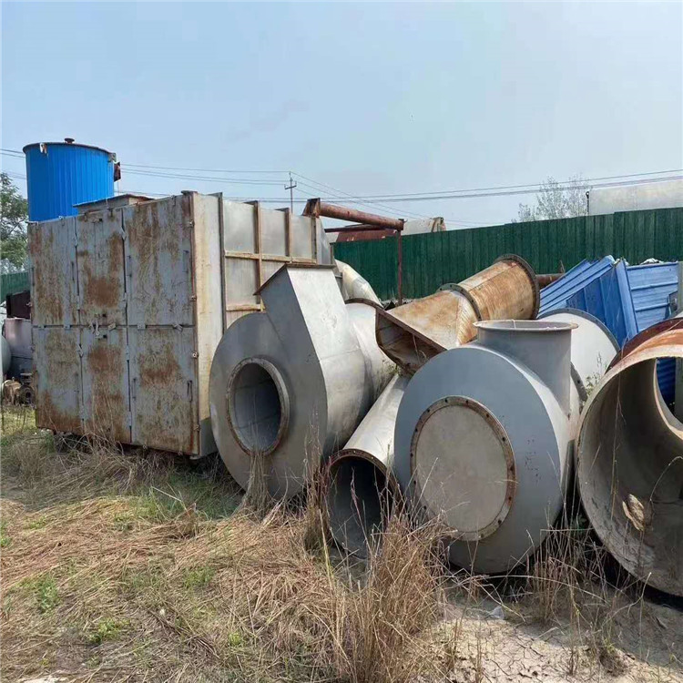 供应二手食品冻干机  冷冻真空干燥机 50平方果蔬冷冻干燥机