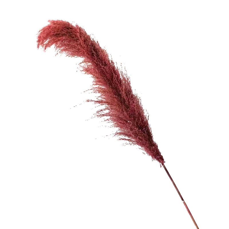 微信图片_20201122135050