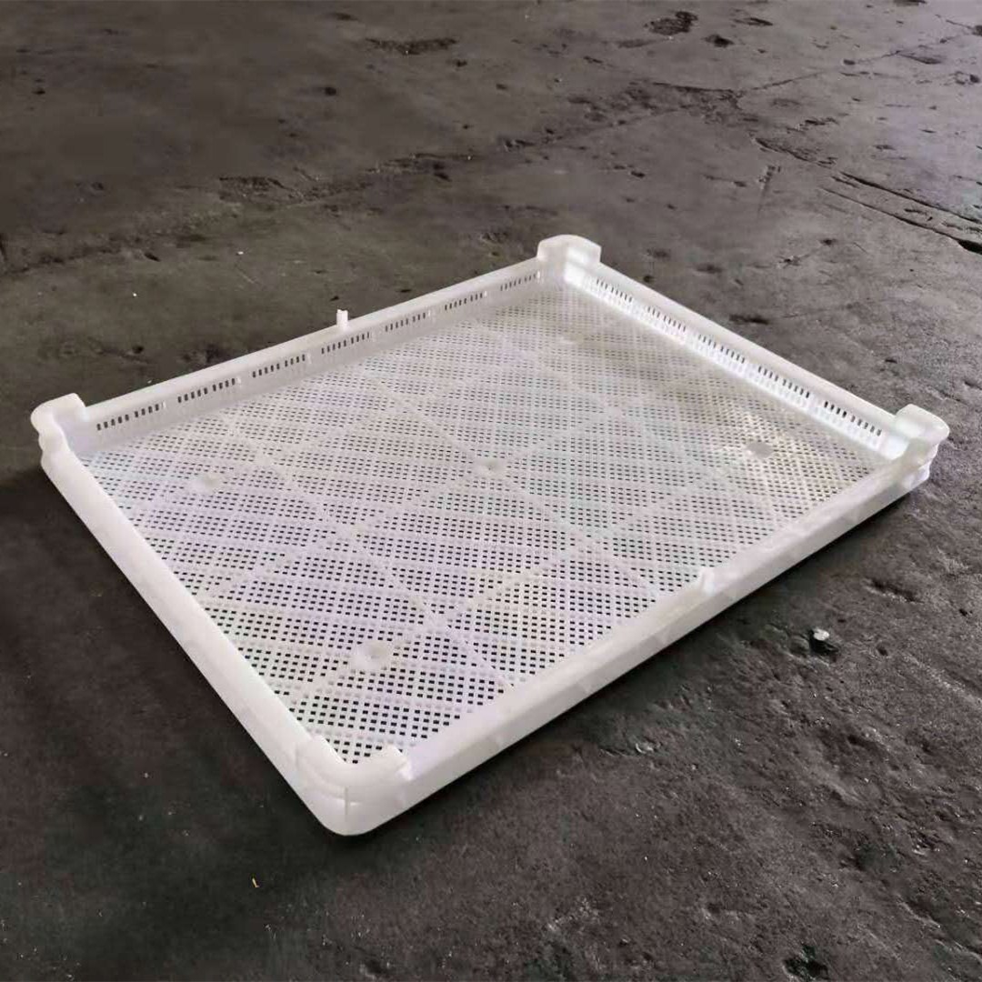塑料网格密眼单冻盘 水产冷藏速冻盘 果脯类塑料烘干盘 晾晒盘