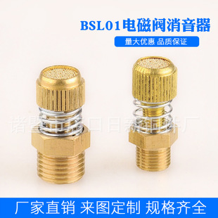 ���Ϛ�ӽ�ƽ�^�~늴��y����2�ֹ���BSL-01���L�^���P�������