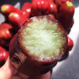 Hainan Black King Kong Lotus Fresh Fresh Fruit Origin Прямые продажи поддержки 5 -фунтовой бесплатной доставки