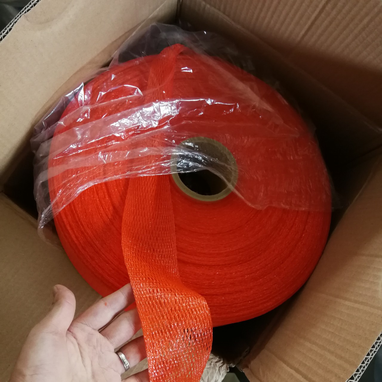 临海柑橘包装袋 蜜橘包装袋 文旦包装网套