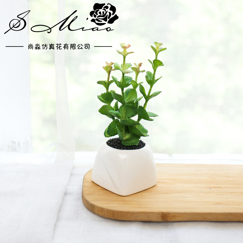 Artificial flower simulation Succulent plants bonsai Plastic Green plant originality Decoration Manufactor Supplying Artificial Flower One piece On behalf of