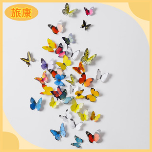 H1-001-002�������w���N��ͯ�������w���N ��������Ƴ����w���N