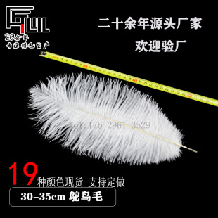̨���ò�����Ȼ��ë�h���r�B��ë30-35cm��Ʒ��Bë���R�d����