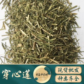水产兽药穿心莲 微粉穿心莲又名春莲秋柳 中药材批发供应
