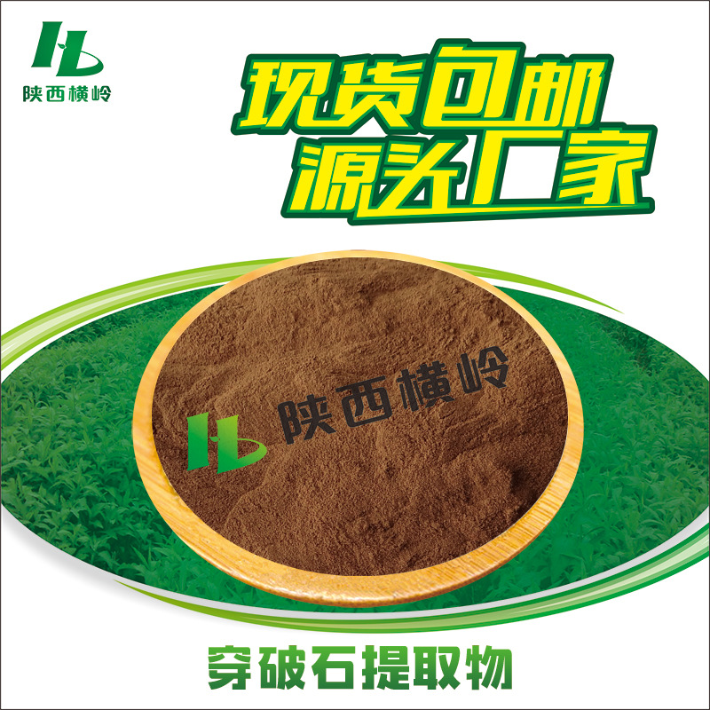 穿破石提取物 30:1穿破石粉 拓根/地绵根提取 水溶原料 量大优惠
