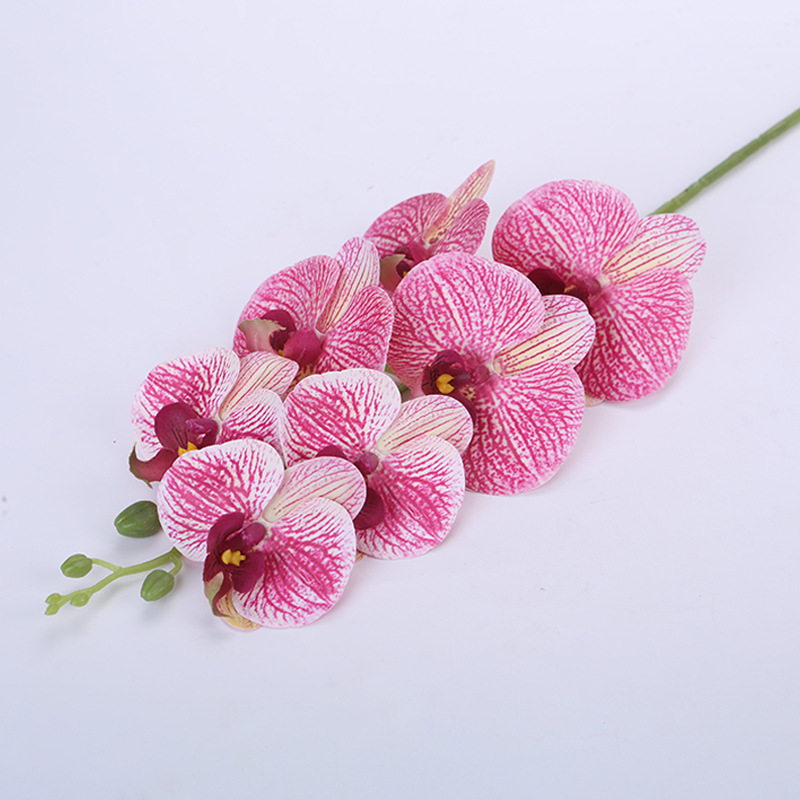 Película de impresión 3D en polvo de melocotón de 7 cabezas