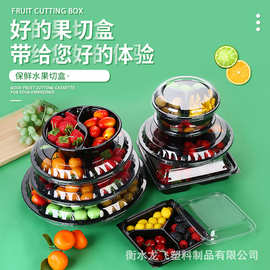 厂家批发直供水果分格盒多分格拼盘盒 塑料果切盒塑料透明果切盒