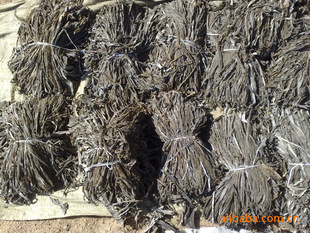 �����oɳ�ɺ����z �ӹ��L�z �|���ýz �ɽz��؛