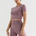 Спортивный топ для зала, шорты, быстросохнущие брюки, одежда для йоги, комплект, европейский стиль, для бега, с коротким рукавом