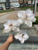 White wedding simulation flower wholesale Korean show wind, white wedding road, flowers, blooming hands, fake flowers