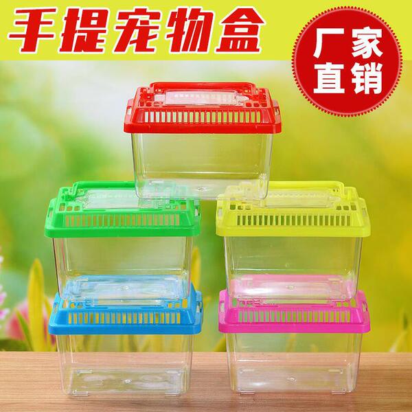 transparent plastic small aquarium